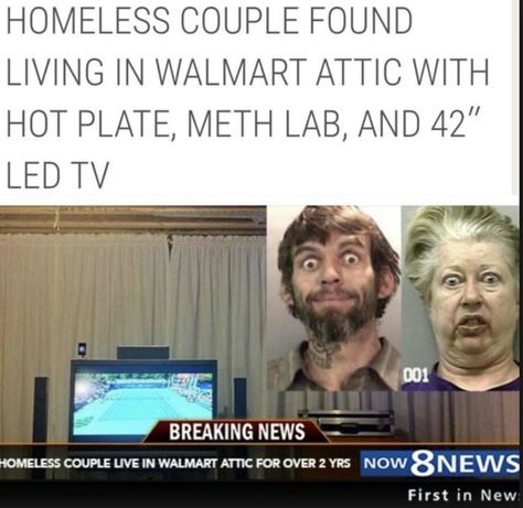 50 More Super-Ridiculous News Headlines Funny Mugshots Captions, Professionals Have Standards, Florida Man Meme, Florida People, Funny News Headlines, Florida Funny, Funny Headlines, Florida Man, Funny News