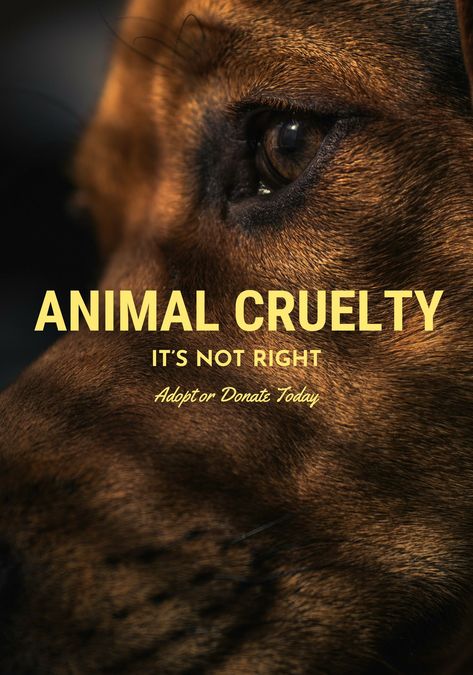 Adopt or donate today @ your local adoption centre. Stop animal cruelty! Cruelty Quotes, Animal Cruelty Quotes, Jobs Aesthetic, Animal Cruelty Awareness, Stop Animal Testing, Mercy For Animals, Dog Quotes Love, Animal Conservation, Animal Liberation