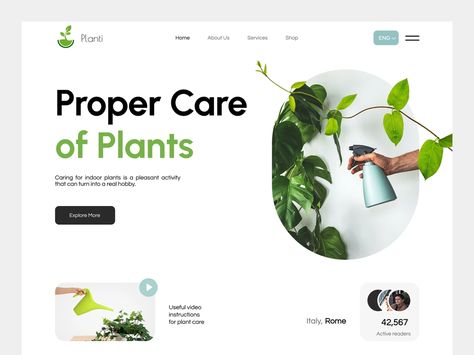 Plant Website Design, Gardening Website, Plant Website, Minimalistic Website Design, Plants Store, Website Branding Design, Garden Concept, Landing Ideas, Beautiful Websites