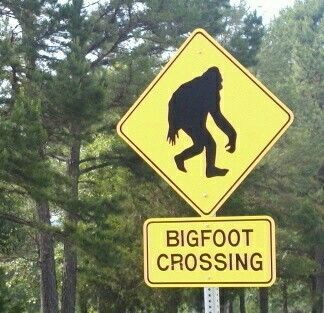 I just got result 'Bigfoot' on quiz 'which cryptid are you?'. What will you get? Finnish Words, Stanley Parable, Fox Mulder, The Three Musketeers, Child Smile, Online Quiz, Paranormal Investigation, Personality Quiz, Animal Planet