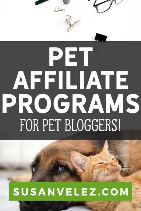 Marketing Copywriting, Learn Affiliate Marketing, Pet Blog, Pet Businesses, Side Income, Affiliate Marketing Programs, Online Programs, Online School, Blog Social Media