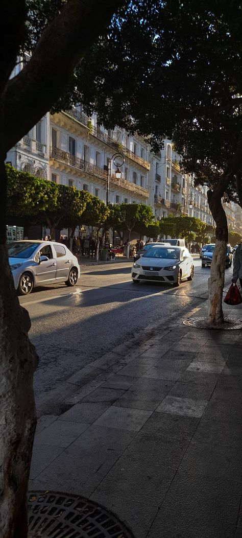 Alger Centre Snap, Algeria Flag, Pretty Blonde Hair, Photographie Indie, Al Qur'an Photography, Qur'an Photography, Cartoon Wallpaper Hd, Ideas For Instagram Photos, Jolie Photo