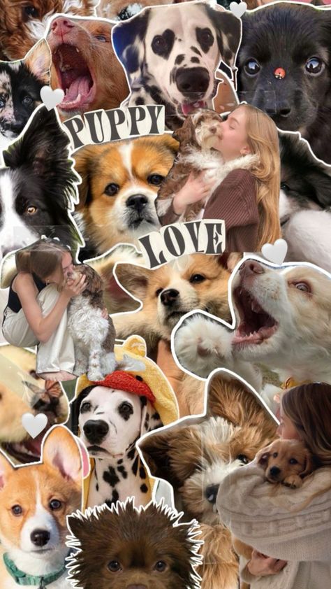 Dogs Collage Wallpaper, I Love Dogs Wallpaper, Dog Collage Wallpaper, Dog Aesthetic Wallpaper, Dog Moodboard, Puppy Wallpaper Iphone, Dog Laughing, Dogs Collage, Dog Beds Homemade