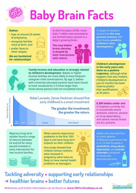 1001CriticalDays on Twitter: "This morning we launch two new infographics, developed in partnership with professionals from across the sector. These articulate why the first 1001 critical days matter.… https://t.co/mGnOIbPMWQ" Neural Connections, Brain Facts, Behavior Interventions, Physical Environment, Healthy Brain, Nursing Education, Brain Development, Baby Development, A Day In Life