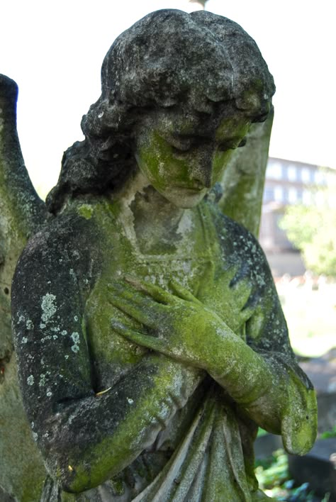 overgrown angel, London Overgrown Angel Statue, Overgrown Sculpture, Overgrown Statue Aesthetic, Overgrown Skeleton, Overgrown Statue, Overgrown Cemetery, Angel London, Statue Artwork, Green Seashell