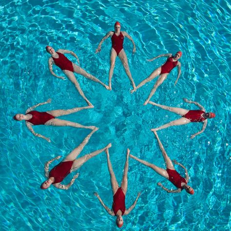 Synchronized Swimming Olympics Aesthetic, Swimming Olympics, Salvia Garden, Swimming Photography, Swimming With Dolphins, Synchronized Swimming, Girl In Water, Swimming Sport, Vintage Swim