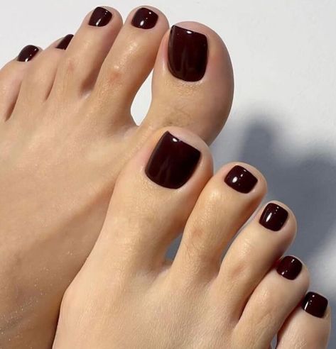 Fall Wedding Pedicure, Brown Pedicure Toenails, Dark Brown Pedicure, Brown Toenail Polish, Brown Toe Nail Polish, Dark Pedicure Colors, Brown Toenails, Brown Pedicure Ideas, Dark Pedicure