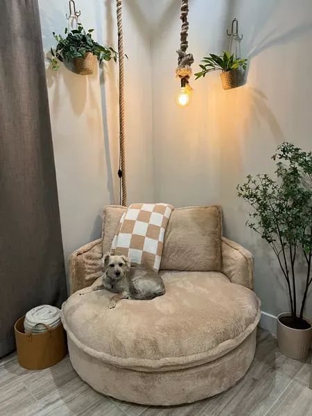 Round Chair Reading Corner, Corner Lighting Ideas, Diy Rope Light, Rope Lighting Ideas, Rope Lights Bedroom, Diy Rope Lights, Livibg Room, Office Boho, Manila Rope