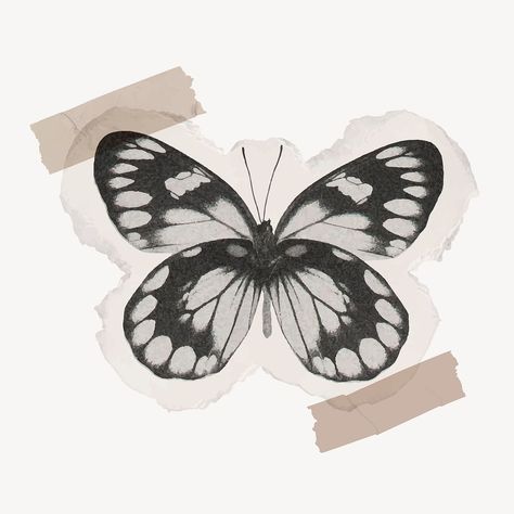 Black butterfly collage element, washi tape design vector | premium image by rawpixel.com / Nunny Digital Washi Tape Png, Army Dreamers, Butterfly Scrapbook, Black Collage, Butterfly Collage, Vintage Paper Printable, About Butterfly, Butterfly Aesthetic, Kindle Stickers