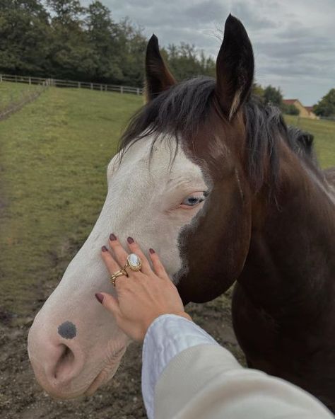 Merida Aesthetic, White Horse Photography, Kylie Francis, Wild Horses Photography, Disney Princesses And Princes, Disney Princess Modern, Horse Aesthetic, Horse Face, Modern Princess