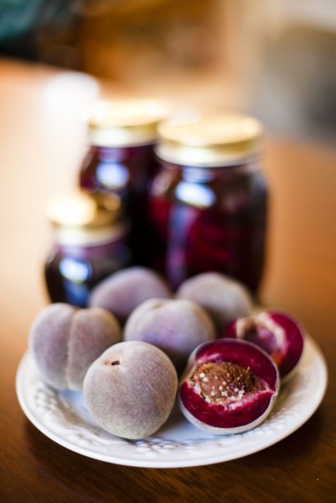 ...from my peach tree. Harvested over 50 this season, and had to preserve half of them in syrup for later. :) They are incredibly delicious and beautiful, with a deep, wine-red colour. I didn't waste anything; after removing the skins and pits for bottling, I used the skins to make "peach honey" and planted the pits - hopefully I can propagate a few more trees of this rare variety. Uploaded with the Flock Browser Peach Tree, Heirloom Vegetables, Food Forest, Black Boy, Peach Trees, Growing Fruit, Food Garden, Exotic Fruit, Edible Plants