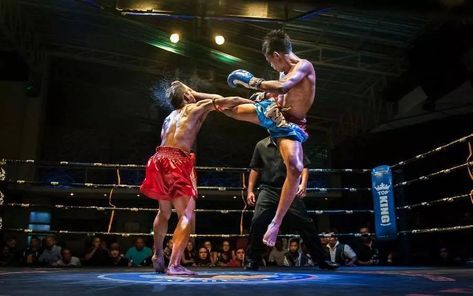 Muay Thai and Muay Boran photographs, videos; interviews. Muay Boran, Muay Thai Martial Arts, Muay Thai Training, Action Pose Reference, Male Pose Reference, Anatomy Poses, Body Reference Poses, Human Poses Reference, Human Poses