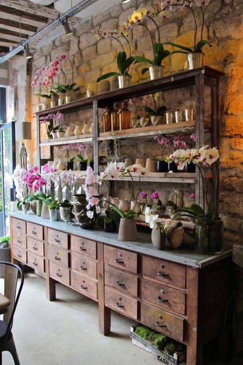 Beautiful Florist Shop, Paris Shopping, Earthship, Floral Shop, Store Displays, Garden Shop, Shop Interiors, Display Design, Shop Display