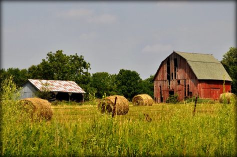 Rural Missouri | ♥ Brenda ♥ | Flickr Red Barn Photos, Farm Scene Painting, Rural Photography, Farm Scenes, Farmhouse Paintings, Country Churches, Barn Pictures, Barn Painting, Rural Scenes