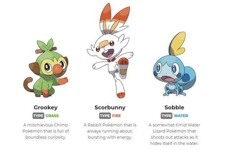 Gen 8 Starters | Pokémon Sword and Shield | Know Your Meme New Pokemon Starters, Pokemon Shield, Fire Type Pokémon, New Pokemon Game, Pokemon Video Games, Pokemon Starters, Pokemon Gif, Pokémon Art, Pokemon Stuff