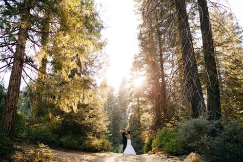 Tenaya wedding photo Tenaya Lodge Wedding, Yosemite Wedding Venues, Tuolumne Meadows, Merced River, Wedding Kit, Wedding California, Yosemite Wedding, 2016 Wedding, Marriage Vows