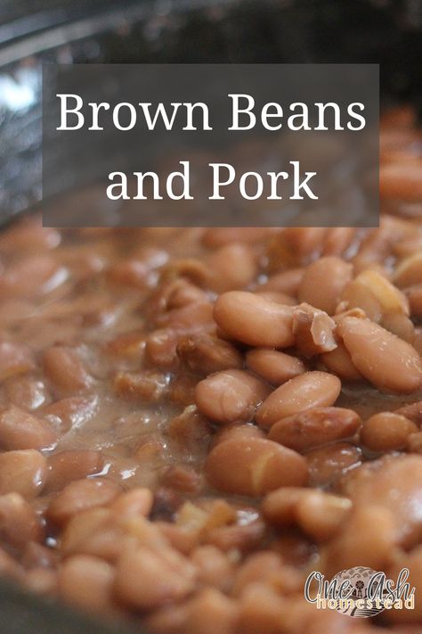 This recipe for Brown Beans and Pork reminds us of visiting MiMi's house! Brown Beans Recipe, Pork And Beans Recipe, Beans Recipe Crockpot, Brown Beans, Leftover Pork Roast, Dry Beans Recipe, Beans In Crockpot, Pot Roast Crock Pot Recipes, Crockpot Pork Chops