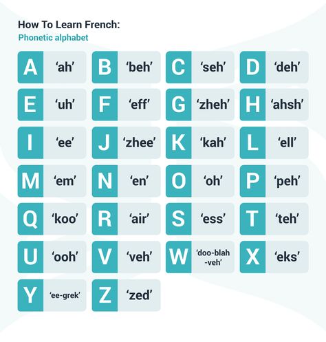 How to Learn French: A Simple Step-by-Step Guide How To Learn French, French Letters, Use Of Articles, Letters Worksheets, Phonetic Sounds, Learn French Fast, Recipes Written, Learn French Beginner, French Basics