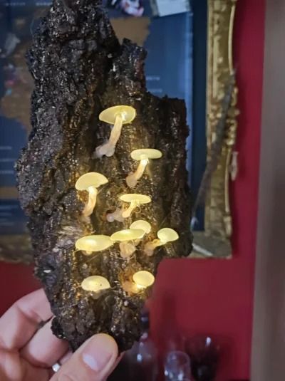 Hot Glue Mushroom Lights : 8 Steps (with Pictures) - Instructables Fairy Lights Diy, Hot Glue Art, Felt Mushroom, Glue Art, Mushroom Crafts, Mushroom Lights, Mushroom Fairy, Fairy Aesthetic, Stuffed Mushroom Caps