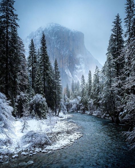 Yosemite In January, Yosemite Snow, Yosemite Winter, California Winter, Yosemite Valley, In The Winter, Southern California, The Winter, Mood Board