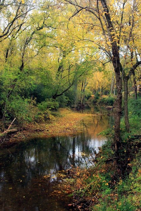 Uk Landscapes, After Rain, Autumn Scenes, After The Rain, Water Art, Autumn Scenery, Forest Art, Scenic Beauty, Beautiful Places Nature