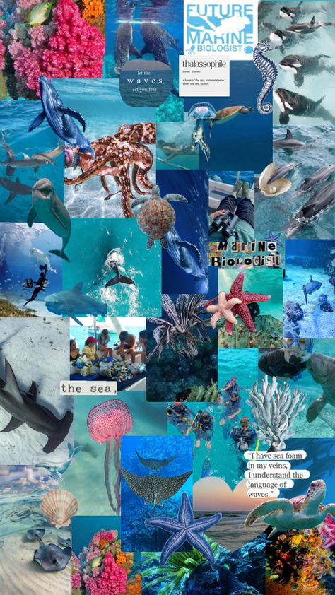 Marine Biologist Aesthetic Wallpaper, My Future Job, Collage Board, Biology Notes, Marine Biologist, Mysterious Places, Future Jobs, Ocean Vibes, Marine Biology