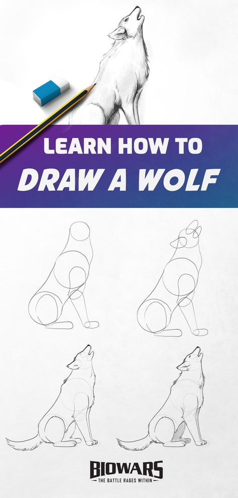 A collage of images depicting the process of wolf drawing. Wolf Sketch Tutorial, Wolf Sketch Easy Step By Step, Wolf Drawing Easy Step By Step, How To Draw A Wolf Easy, Step By Step Wolf Drawing, How To Draw A Wolf Step By Step, How To Draw Wolves, Wolf Cute Drawing, Wolve Drawings