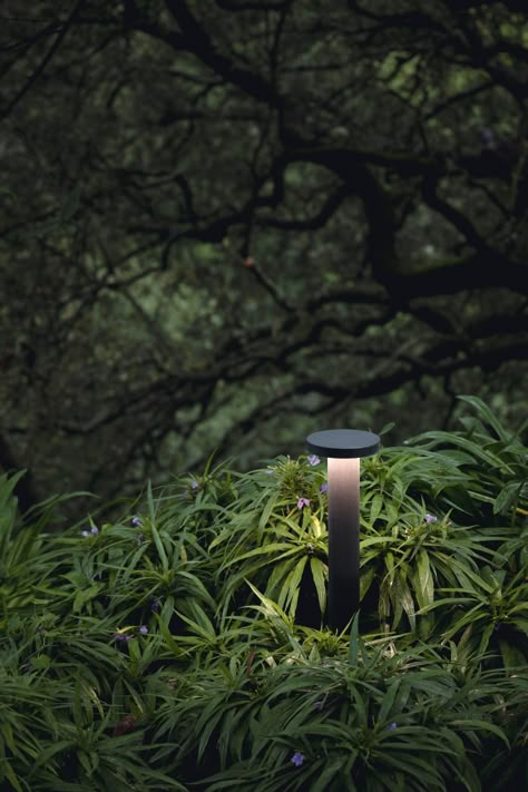 Discover the allure of Spyker, a distinctive outdoor lighting solution. With a circular base, an aluminum disc top, it radiates a pleasing, soft light. Available in alu grey or Delta Light's signature dark grey, it comes in two sizes for flexibility. This elegant outdoor fixture allows you to create a lighting design that complements and accentuates the beauty of nature. Outdoor Walkway Lighting, Outdoor Tree Lighting, Walkway Lighting, Entrance Lighting, Landscape Lighting Design, Goth Garden, Outdoor Walkway, Architectural Lighting Design, Interior Architects