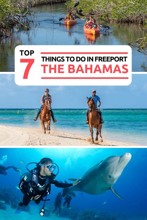 Bahamas Beaches, Bahamas Freeport, Bahamas Travel Guide, Nature Parks, Beach Vacation Tips, Grand Bahama Island, Bahamas Trip, Bahamas Honeymoon, Freeport Bahamas