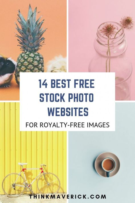 Stock Tips, Photo Website, Photo Site, Personal Journey, Free Graphics, Stock Photography Free, Best Sites, Blog Tips, Blogging Tips