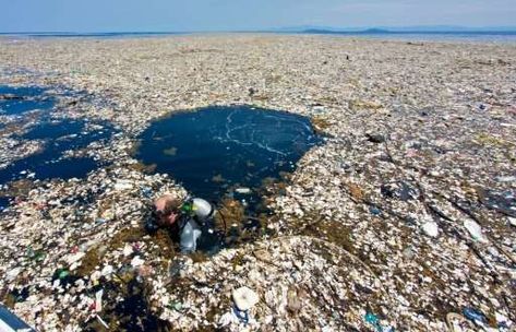 Photographer Caroline Power said that a plastic waste island that she recently documented was "tiny compared to the ones in Garbage In The Ocean, Plastik Recycling, Great Pacific Garbage Patch, Ocean Pollution, Save Our Earth, Underwater Photographer, Environmental Pollution, Plastic Pollution, Fire Station