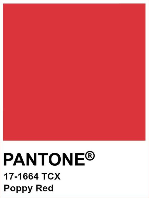 Pantone Red, Aesthetic Era, Poppy Color, Red Colour Palette, Poppy Red, Pantone Color, Pink Flamingos, Red Poppies, Wedding Colors