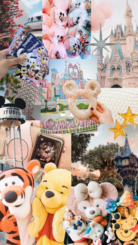 Disney World Aesthetic, Aesthetic Shuffles, Disney Photo Ideas, Disney World Pictures, Disney Trip Planning, Disney Background, Cute Disney Pictures, Disney Collage, Disney Day