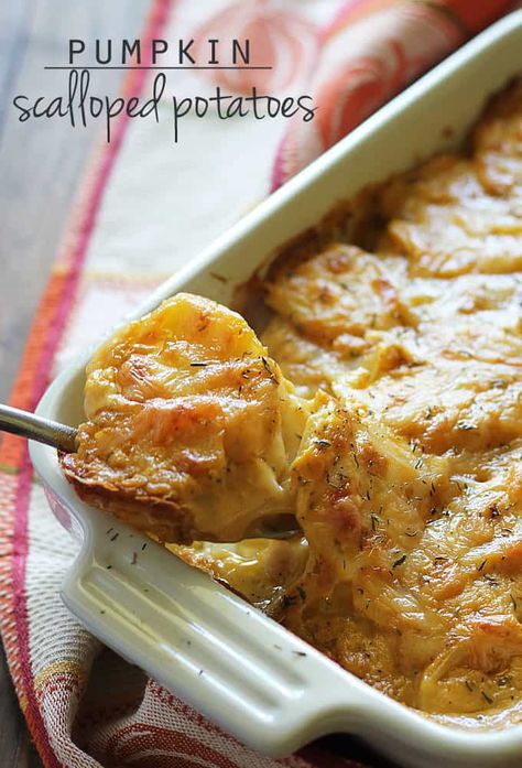 Pumpkin Scalloped Potatoes | The Blond Cook Main Recipes, Savory Pumpkin, Savory Pumpkin Recipes, Pumpkin Sauce, Scalloped Potato Recipes, Chipotle Pepper, Scalloped Potatoes, Recipes To Make, Holiday Food