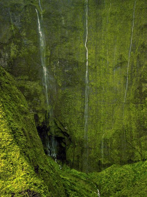 Wai'ale'ale Falls, Weeping Wall | Wondermondo Lower part of these giant falls in Kauai island. Water Bending, Maui Hawaii Vacation, Kauai Island, Waimea Canyon, City Slickers, Hawaii Vacation, Maui Hawaii, Kauai, Maui