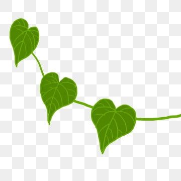 Thread Ideas, Heart Shaped Leaf, Heart Shaped Leaves, Leaves Png, Heart Leaf, Simple Leaf, Leaf Border, Heart Drawing, Leaves Vector