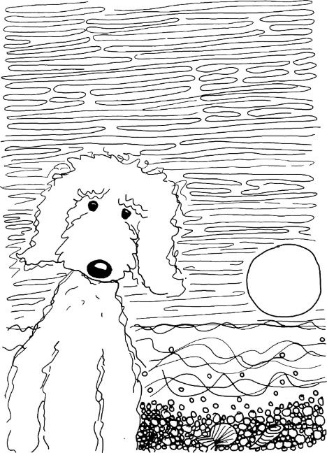 Labradoodle Drawing, Goldendoodle Art, Poodle Drawing, Drawing Sunset, Golden Doodle Dog, Doodle Mom, Doodle Tattoo, Doodle Cartoon, 강아지 그림