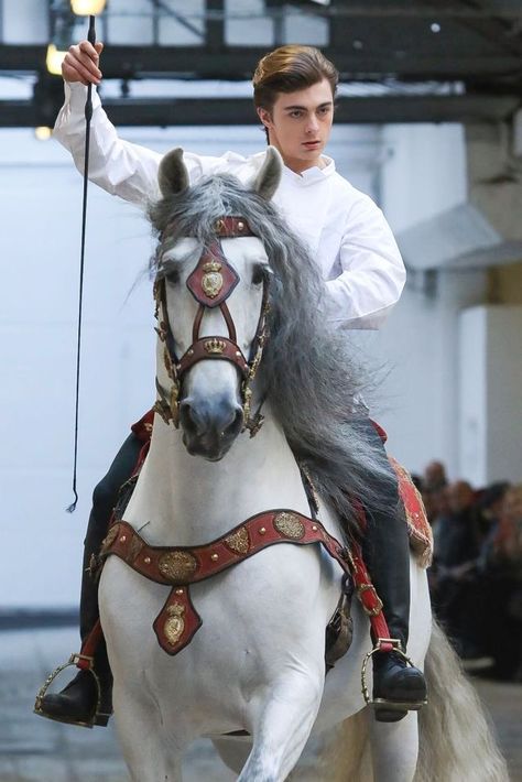 (No info on this pair. But beautiful) Horse Pose Reference, Poses With Horses, Knight Riding Horse, Horse Clothes, Knight On Horse, Man On Horse, Horse Armor, Riding Horse, Andalusian Horse