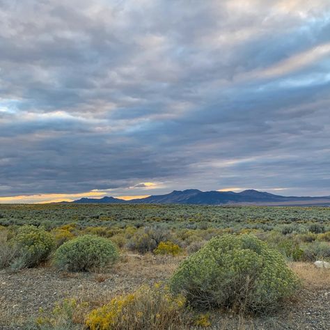 Winnemucca Nevada, Northern Nevada, Nevada Desert, Nevada Travel, Air Balloon Rides, Mountain Biker, Back Road, City Limits, American West