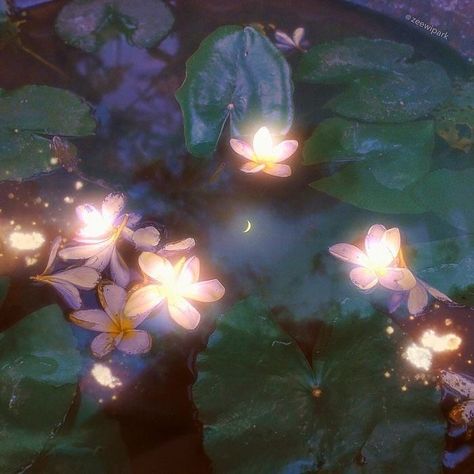 Water Lilies, Ethereal Aesthetic, Fairy Aesthetic, Magic Aesthetic, Ethereal Art, Alam Semula Jadi, Nature Aesthetic, Aesthetic Art, Pretty Pictures