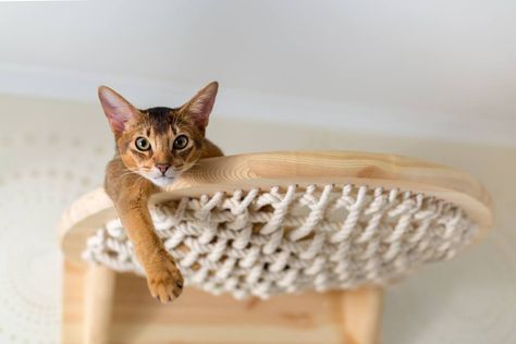 Ikea Hacks For Cats, Ikea Cat, Diy Cat Tower, Unique Cat Trees, Cat Tree Designs, Diy Chat, Kat Diy, Modern Cat Bed, Chat Diy