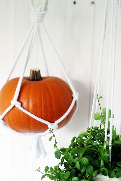 Fall For DIY Hanging Macrame Pumpkins how to....  This is HILARIOUS, how hard would you laugh if you walked in my house and saw a random pumpkin hanging?! =D Macrame Pumpkin Hanger, Hanging Pumpkins, Diy Nature, Gluten Free Halloween Treats, Diy Projects Gifts, Makramee Diy, Hanging Macrame, Macrame Hanging, Halloween 2018