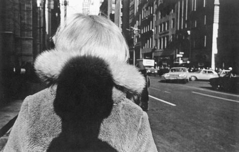 Photograph by Lee Friedlander Edward Steichen, Walker Evans, Vivian Maier, Fred Herzog, Spencer Tunick, Garry Winogrand, Lee Friedlander, Karl Blossfeldt, Andre Kertesz