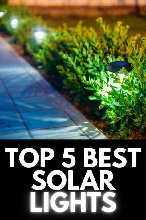 Led Solar Lights Outdoor, Outdoor Solar Lighting Ideas Backyards, Solar Garden Lights Ideas, Solar Lights Front Of House, Diy Outdoor Solar Lights, Garden Solar Lights Ideas, Driveway Solar Lights, Landscaping Solar Lights Ideas, Best Solar Lights Outdoor