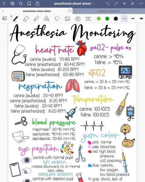 Veterinary Management, Veterinary Technician Student, Vet Study, Veterinary Medicine Student, Veterinarian Medicine, Veterinarian Clinic, Vet School Motivation, Medications Nursing, Vet Nursing