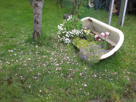 Meadow Garden, Aesthetic Photography Nature, The Grass, Nature Aesthetic, Flowers Nature, Green Aesthetic, Dream Garden, Aesthetic Photography, Bird Bath