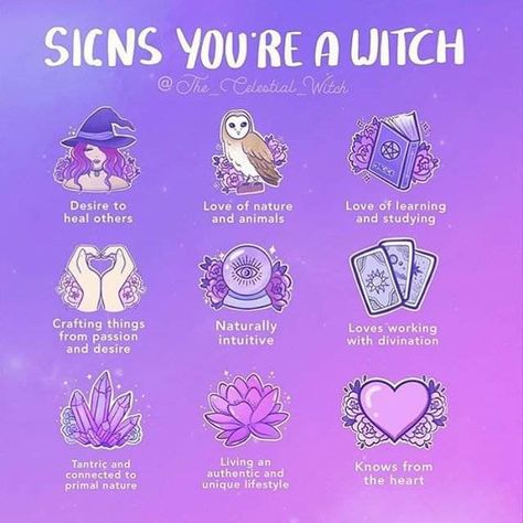 Signs you're a witch Study Craft, Witch Candles, Eclectic Witch, Magick Spells, Wiccan Spell Book, Witchcraft For Beginners, Witchcraft Spell Books, Witch Spell Book, Witch Spell