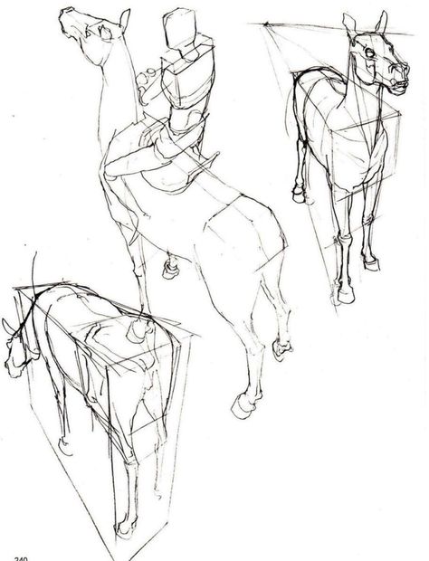 Horse Sketch Art, Kim Jung Gi, Perspective Drawing Lessons, Human Anatomy Drawing, Human Anatomy Art, Anatomy Sketches, Body Reference Drawing, Perspective Art, 캐릭터 드로잉