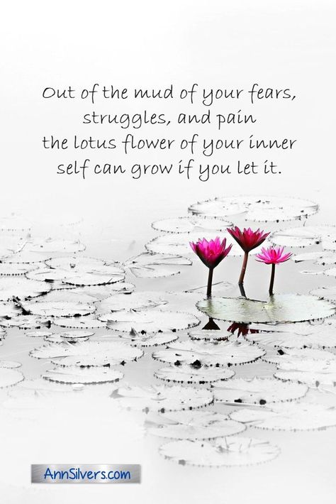 Lotus Meaning Quotes, White Lotus Meaning, Quotes About Lotus Flower, No Mud No Lotus Quotes, Lotus Flower Quotes Inspirational, Lotus Quotes Inspiration, Flower Life Quotes, No Mud No Lotus Tattoo, Lotus Flower Color Meaning