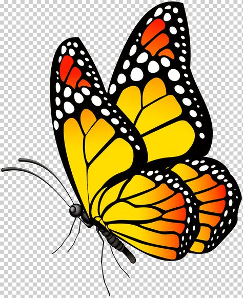 Butterflies Tattoos, Aesthetic Butterflies, Butterflies Aesthetic, Drawing Butterfly, Assignment Ideas, Nails Butterfly, Butterfly Art Drawing, Beautiful Butterfly Pictures, Butterfly Artwork